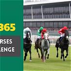 bet of the day horses