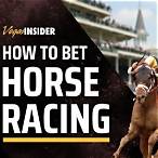 bet race horses